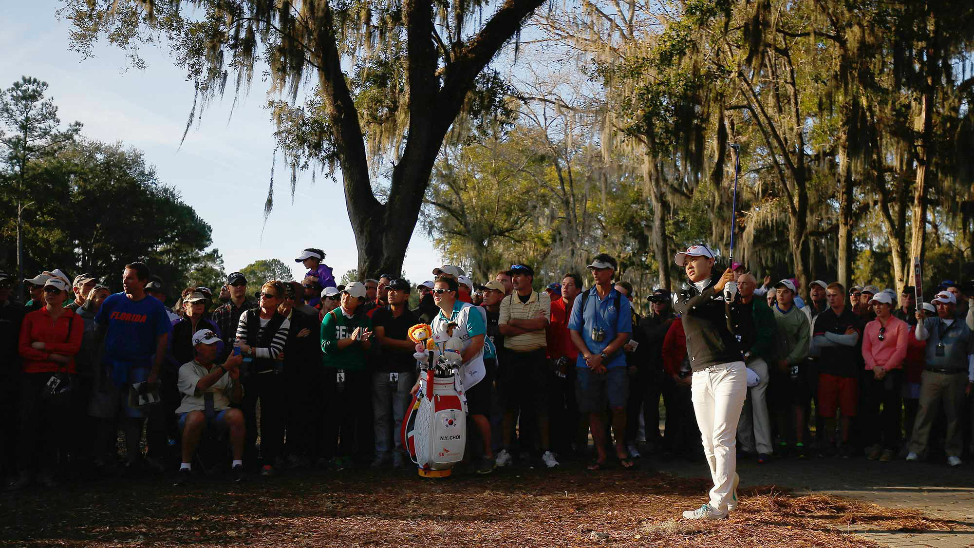 Na Yeon Choi during Final Round at the Golden Ocala Golf & Equestrian Club on January 31, 2015 in Ocala, Florida