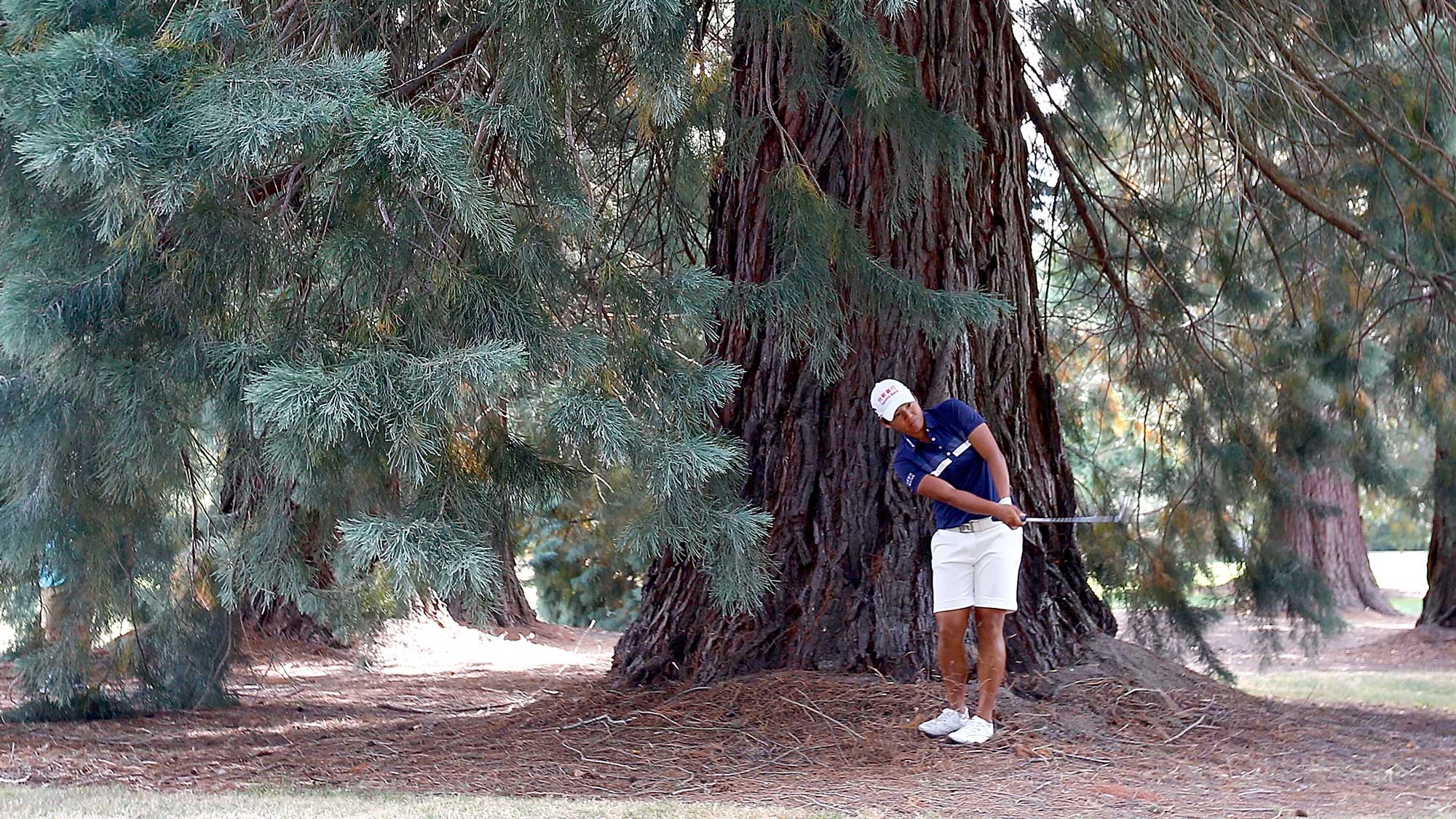 Yani Tseng of Chinese Taipei hits out from under a tree on the 5th hole during the first round of the LPGA Cambia Portland Classic