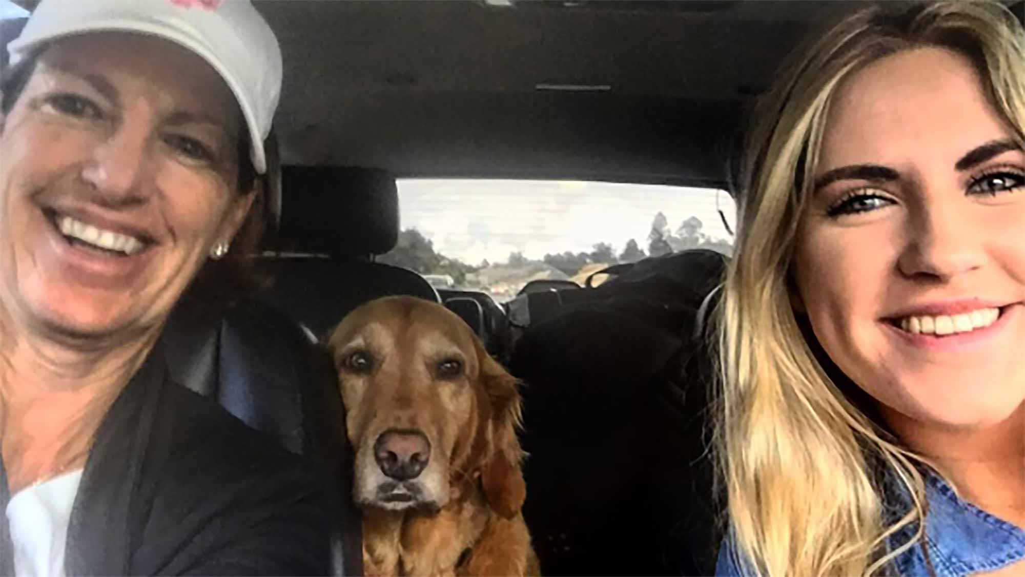 pncpetfamilies.jpg
