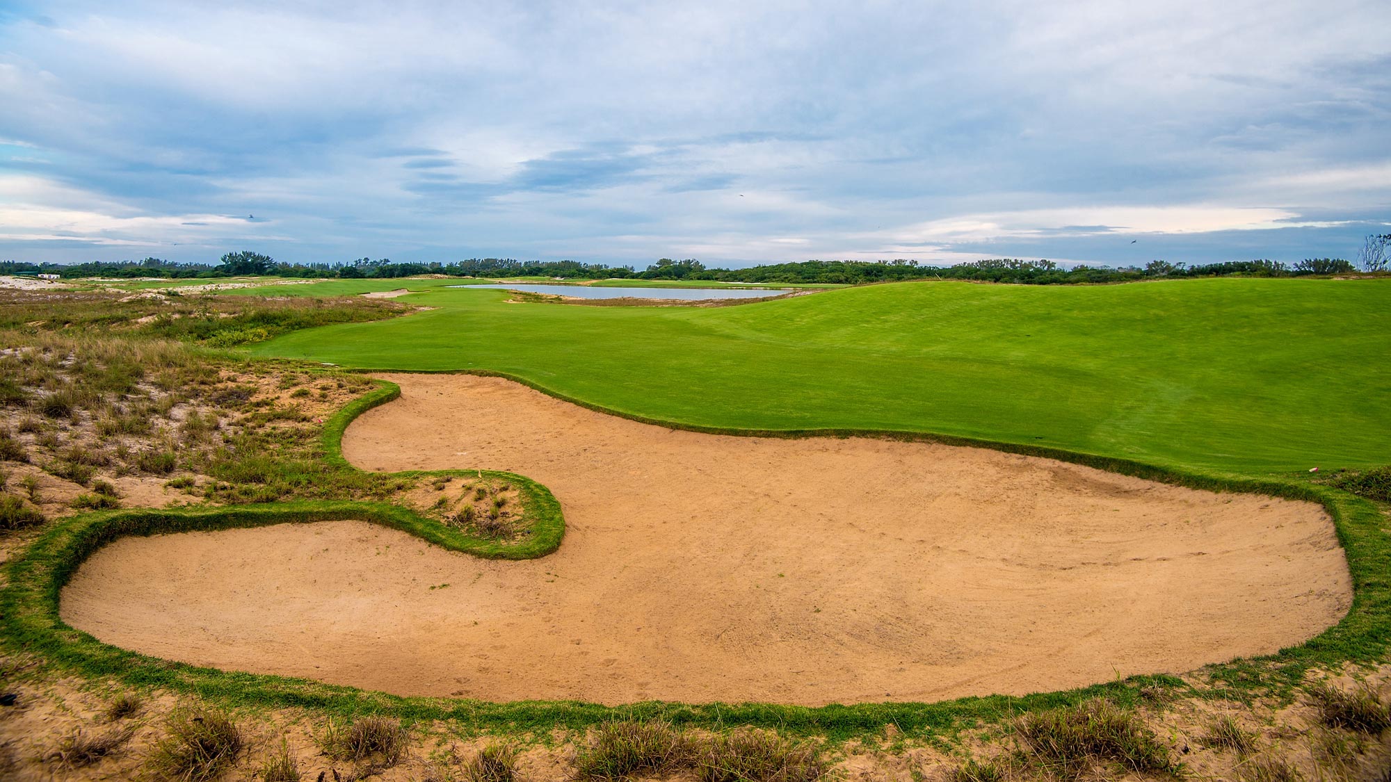 Golfers Ready To Light Up Rio LPGA Ladies Professional Golf Association
