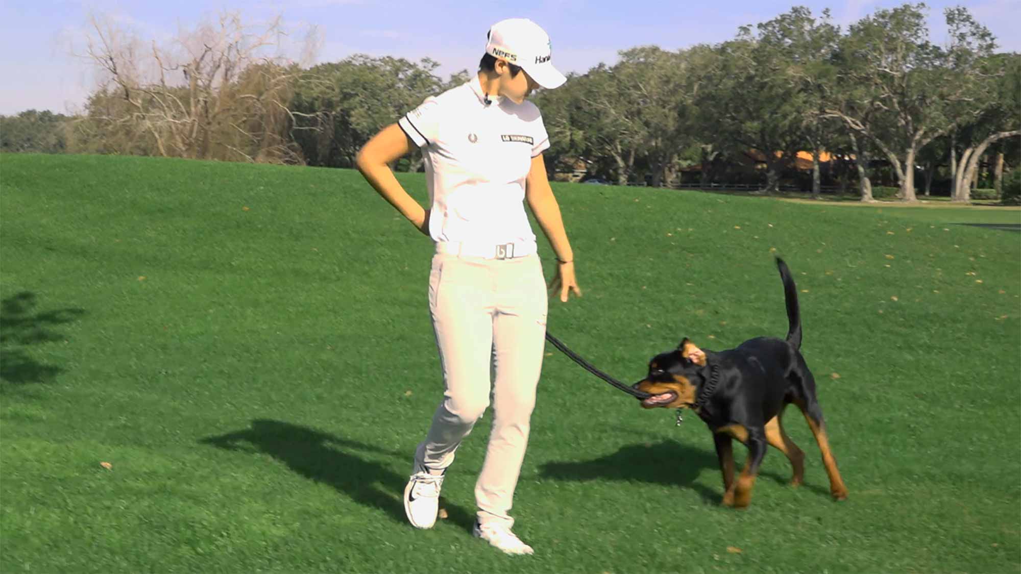 sung-hyun-park-dog.jpg