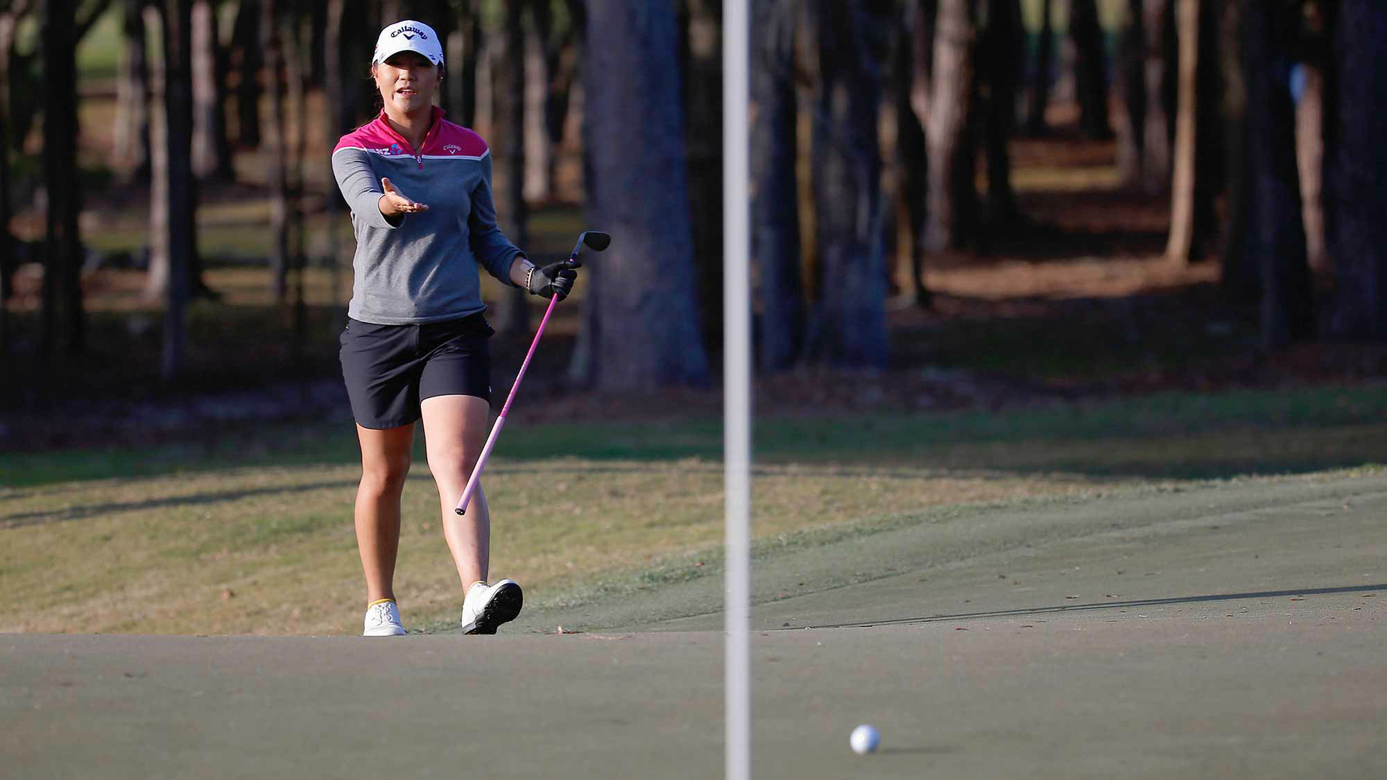 Lydia Ko during Final Round at the Golden Ocala Golf & Equestrian Club on January 31, 2015 in Ocala, Florida