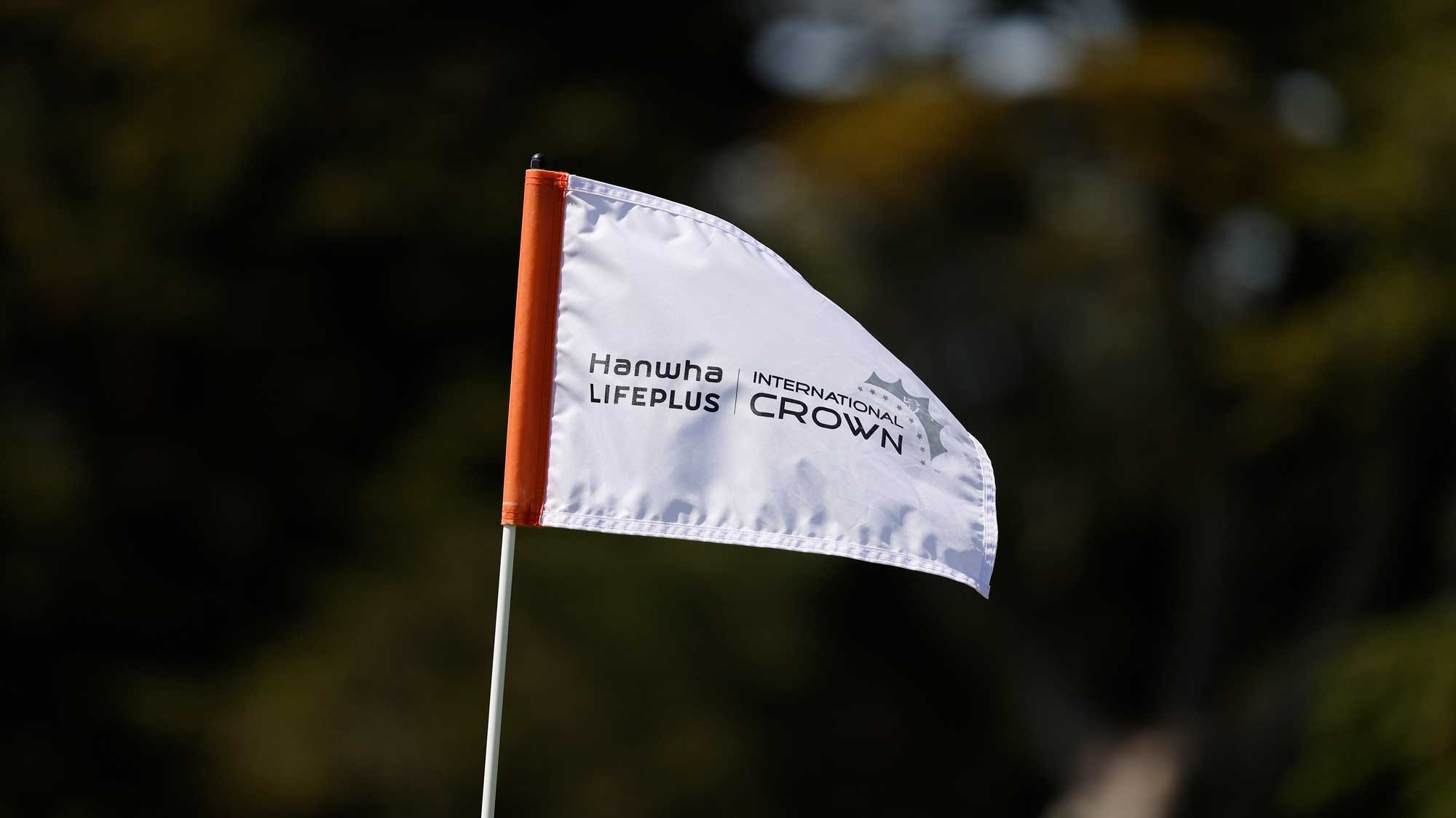 International Crown Flag