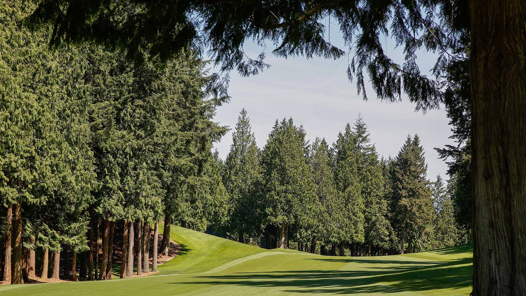 sahaleecc531288314.jpg