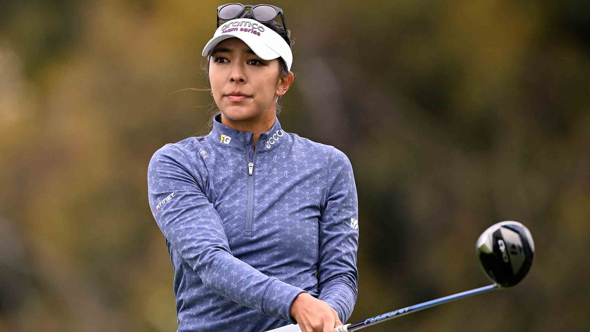 alison lee net worth 1 alison lee net worth