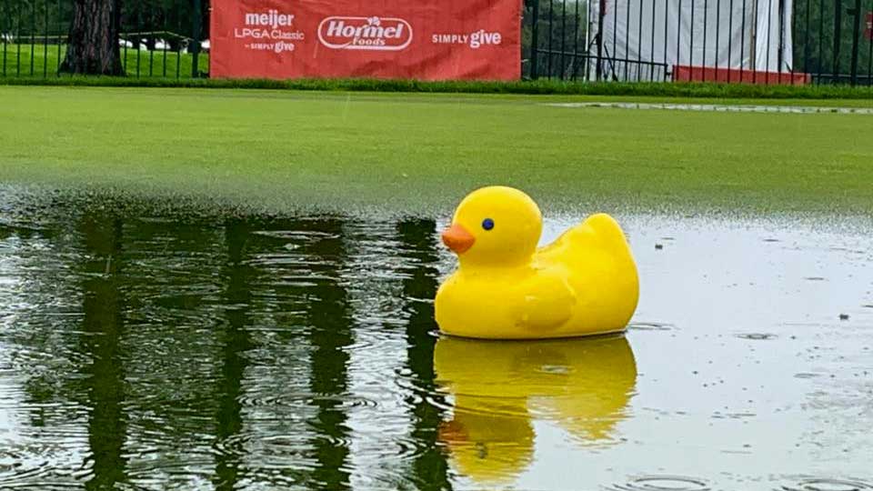 weathermeijer2019.jpg