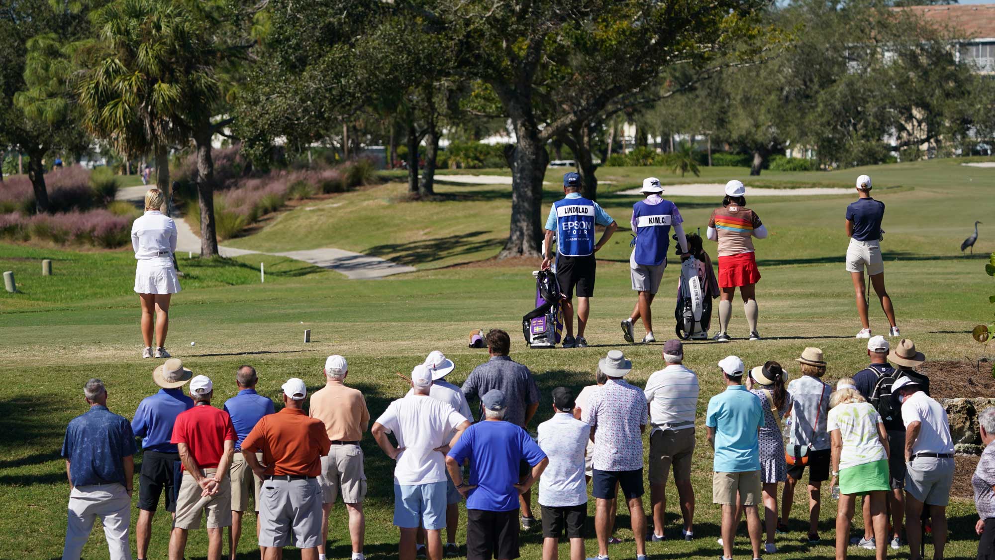 Crowds watch Ingrid Lindblad during the final round of LPGA and Epson Tour Qualifying Tournament Stage II.