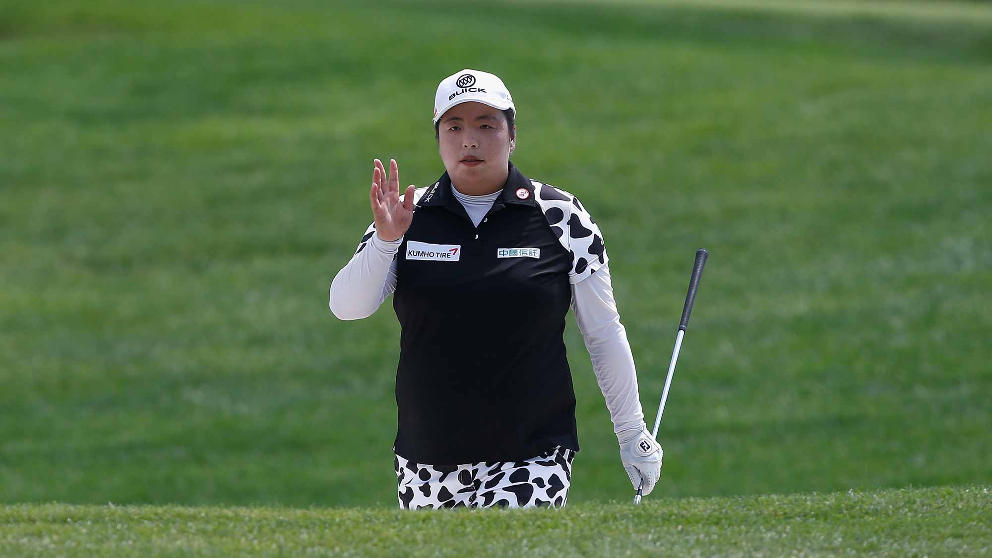 feng_s813885692.jpg